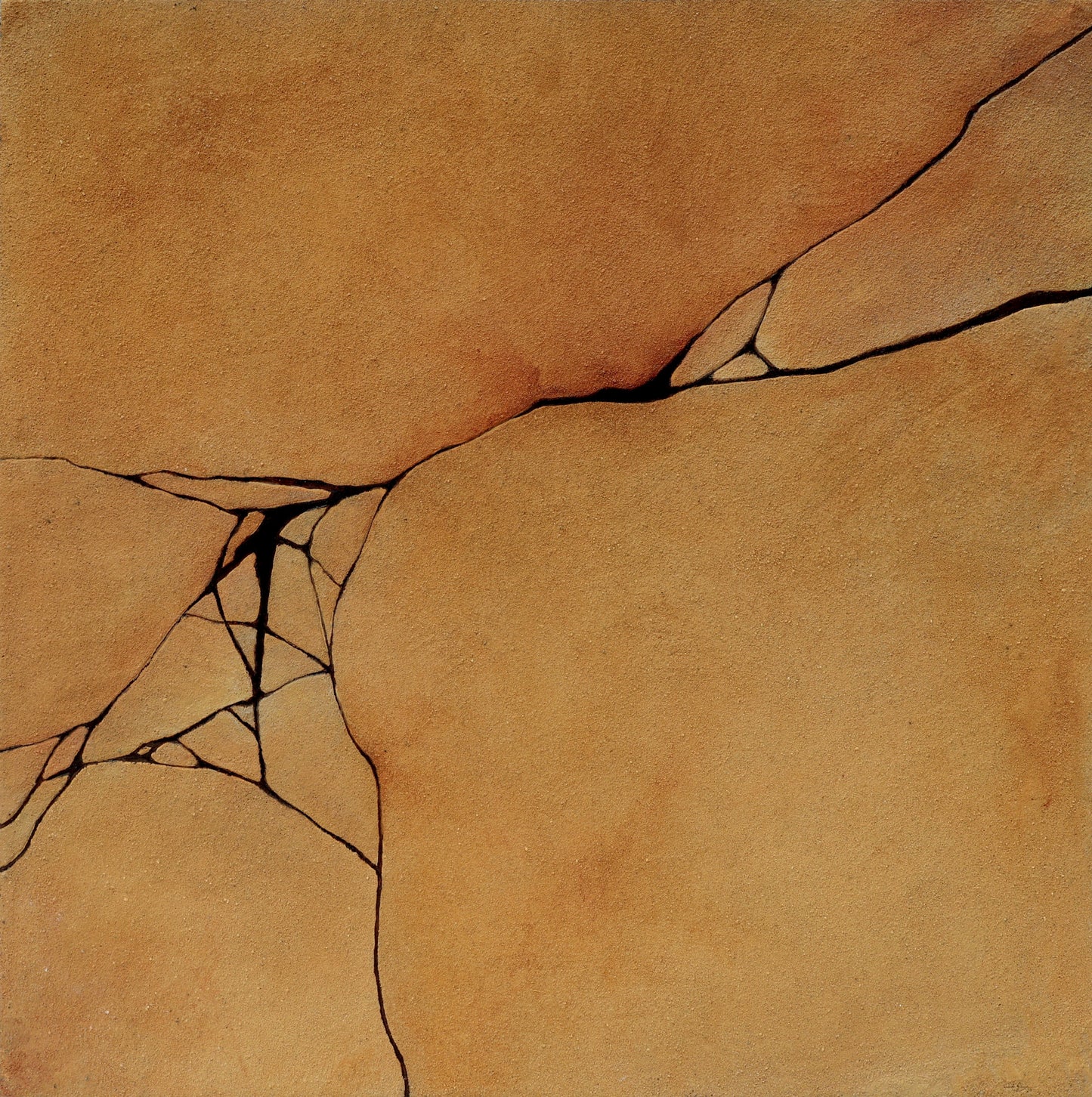 De la serie Cracking Fracking Fucking (2025)