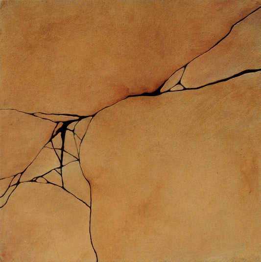 De la serie Cracking Fracking Fucking (2025)