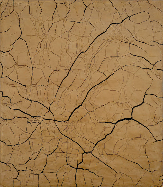 De la serie Cracking Fracking Fucking (2025)